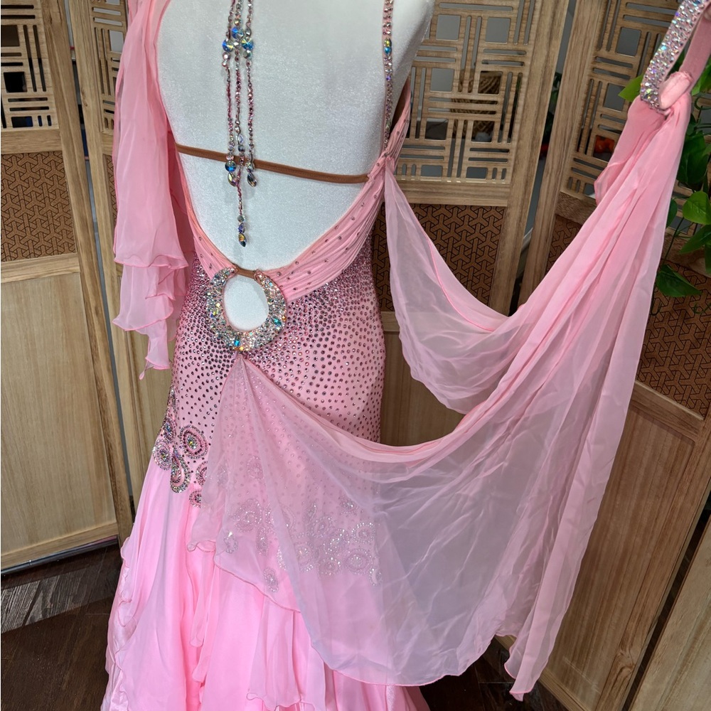 Chrisanne Couture Pink Ballroom Gown with Removable Standard Floats - Picture 6 of 9